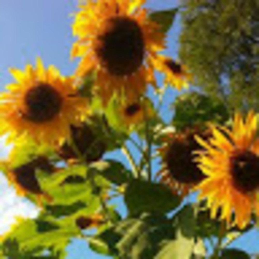 Meet your Posher, Becky